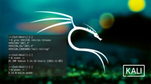 Read more about the article Kali Linux 2021.4 Release