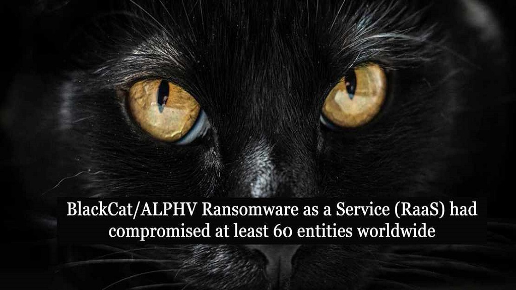 You are currently viewing The BlackCat ransomware group started leaking individual victim websites on the public internet