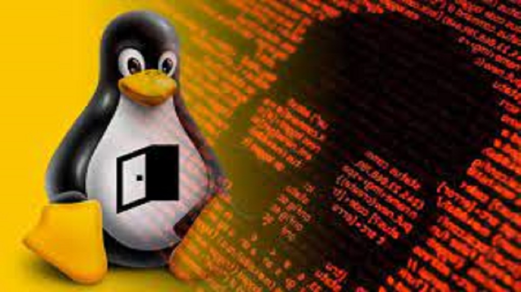 You are currently viewing Symbiote malware can remain undetected on Linux machines